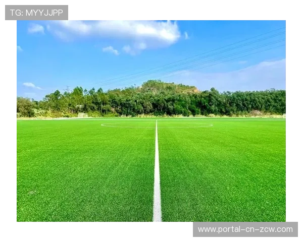 由于低功耗传输协议的行业化应用 体育营销体系在现阶段实现了绿色可持续发展