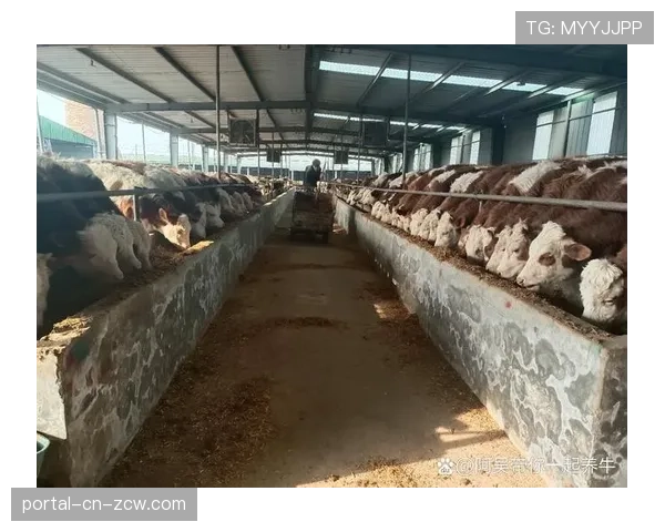 守护者牛棚连续三天登板，疲态显现导致连败